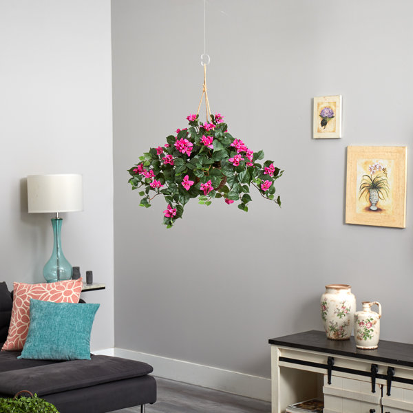August Grove® Bougainvillea Hanging Basket & Reviews Wayfair